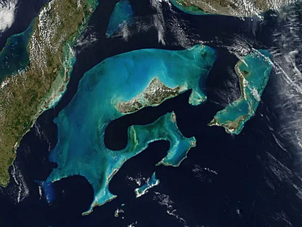 Пока вы не уснули: обращение Си Цзиньпина к Путину и секретный звонок Зеленского